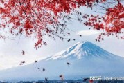 富士山最新爆料视频,壮观景象与神秘传说交织
