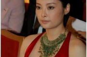 袁立采访爆料事件视频完整版,揭秘娱乐圈内幕与个人心路历程