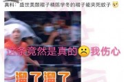 粉丝爆料有人开视频吗,神秘视频流出，真相究竟如何？