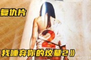 我弃你的坟墓2在线观看,深度解析我弃你的坟墓2在线观看之旅