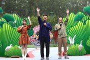 中南奈雪最新爆料视频,中南地区饮品新潮流