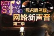 新声音 在线观看,探寻音乐新势力